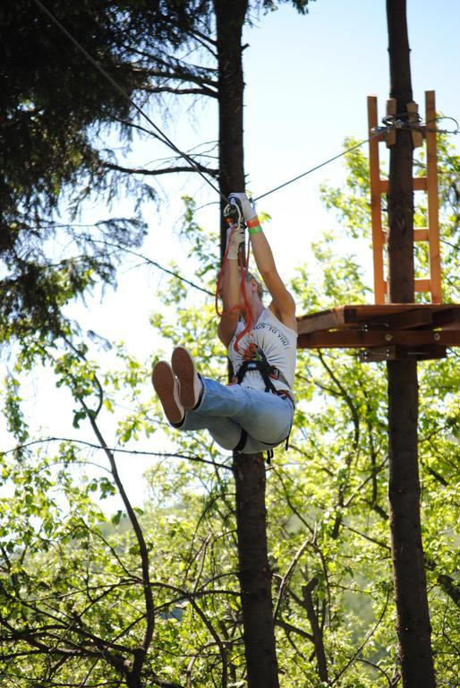 ホテル Activ Parc Negresti エクステリア 写真