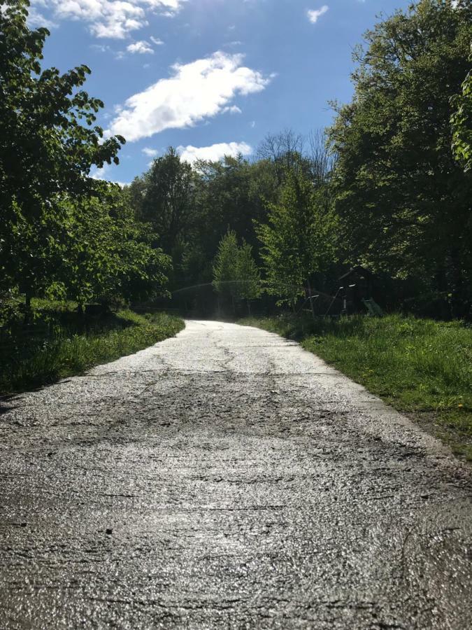 ホテル Activ Parc Negresti エクステリア 写真