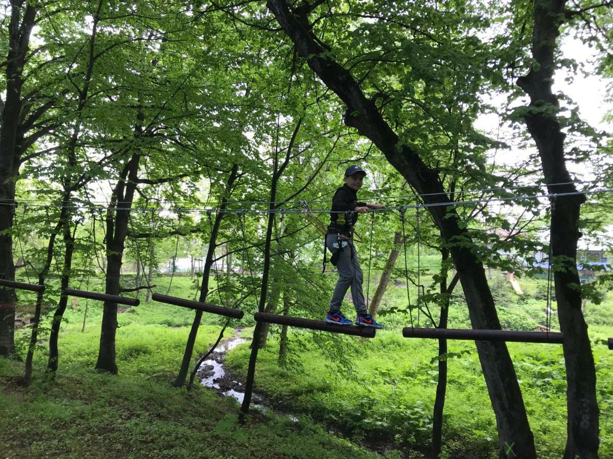 ホテル Activ Parc Negresti エクステリア 写真